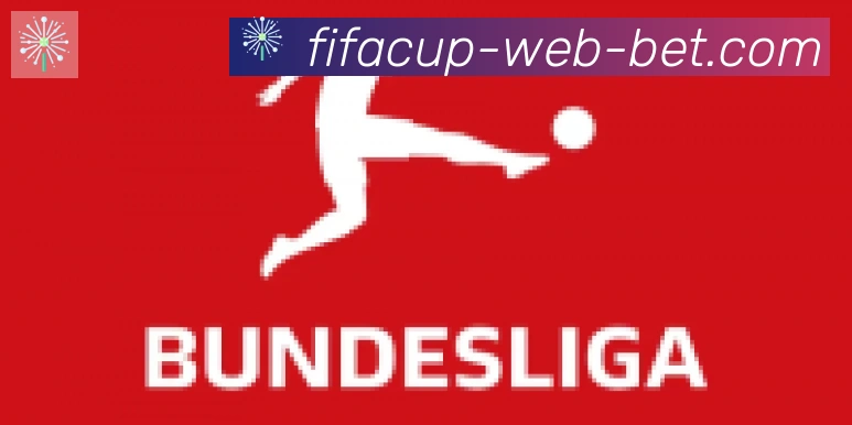 FIFA世界杯买球入口合作伙伴